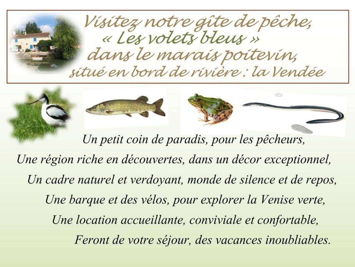 MARAIS POITEVIN pêche ,barque, vélos, wifi, linge, cheminée, cuisine La Taillee Extérieur photo
