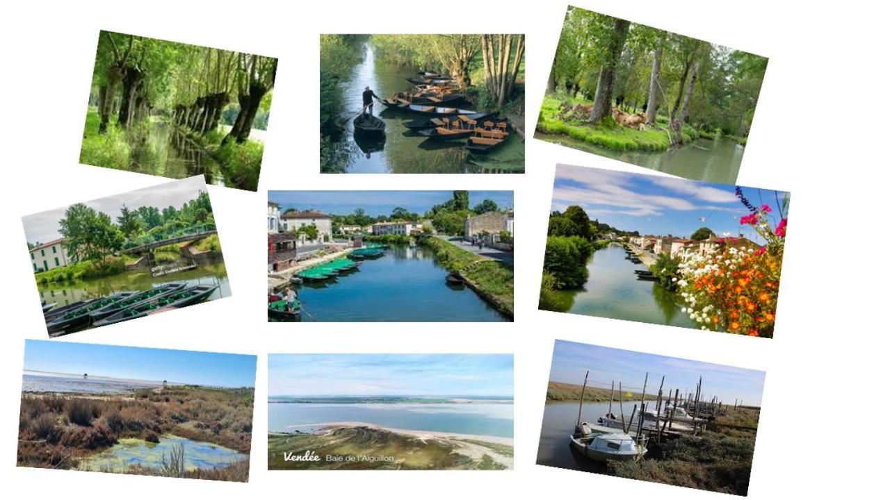 MARAIS POITEVIN pêche ,barque, vélos, wifi, linge, cheminée, cuisine La Taillee Extérieur photo